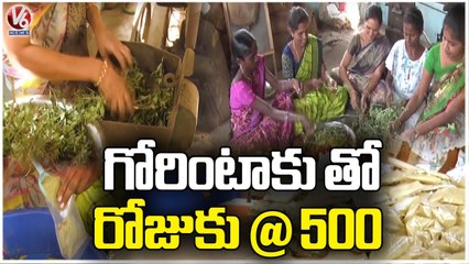 Herbal Cosmetic Making , Giving Employment For 30 Members By Sujatha _ Warangal _ V6 News