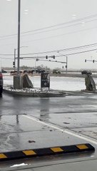 Wild Horses Cross Intersection
