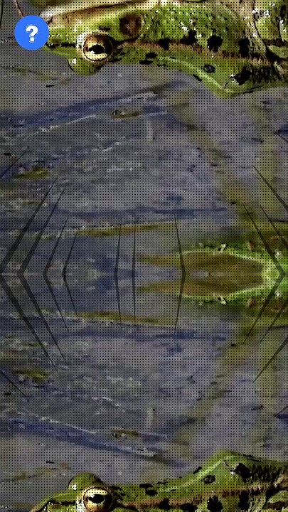 என்ன frog freeze ஆகாம இப்படி செய்யுமா? | frog facts | know This #shorts