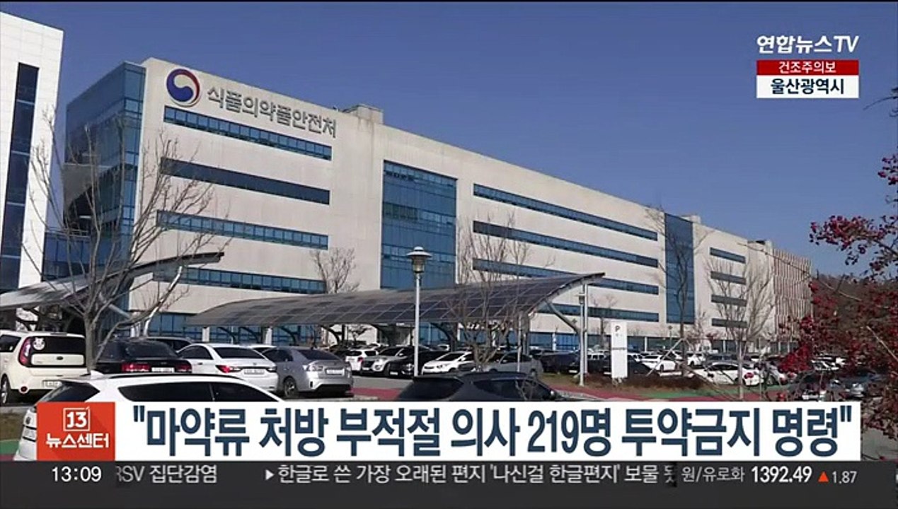"마약류 처방 부적절 의사 219명 투약금지 명령"