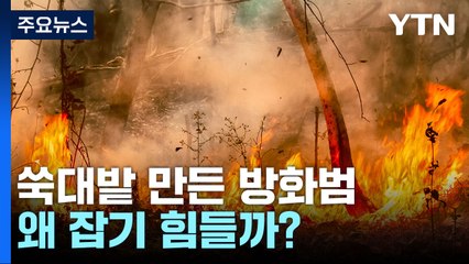 5년간 무려 6천억 피해...방화범 검거율이 유독 낮은 이유 / YTN
