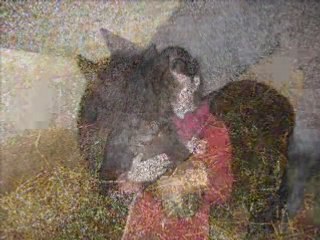 Montage vidéo dédié à Alida <3