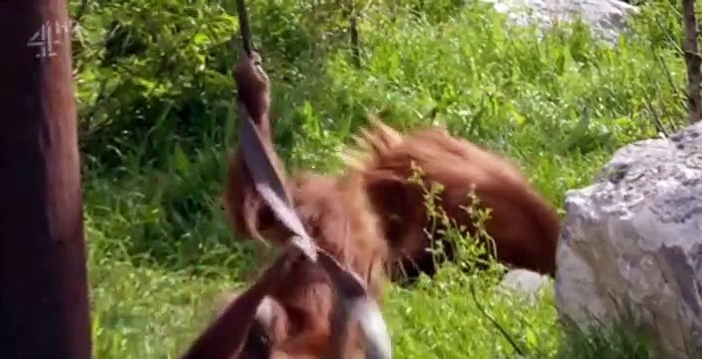Zoo S02 E05