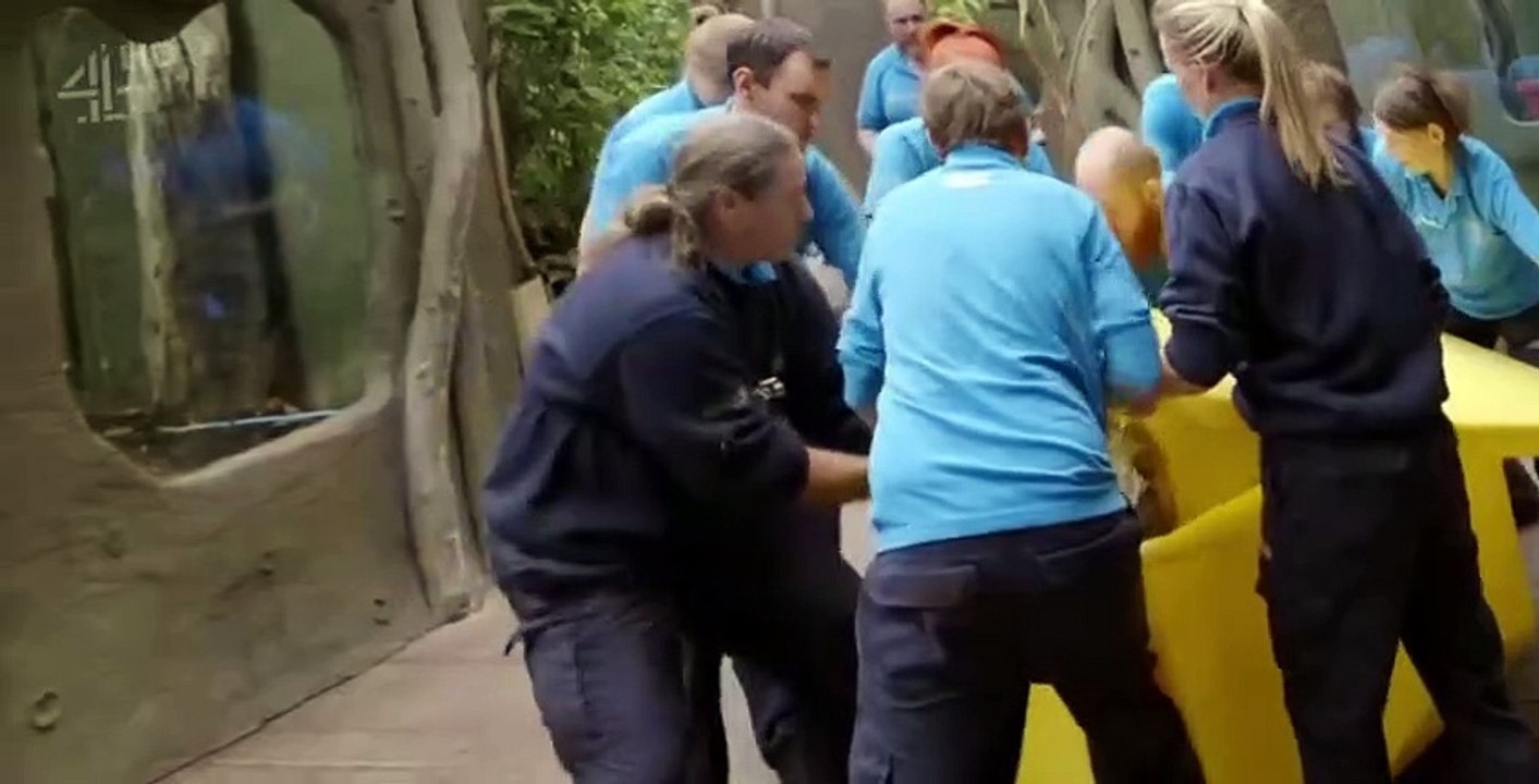 Zoo S02 E06