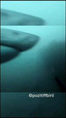 This Is Why I Don't Mess With The Ocean