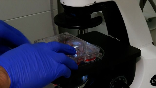 بين مؤيد ومعارض.. جدل حاد بين العلماء حول استخدام العلاج بتعديل الجينوم
