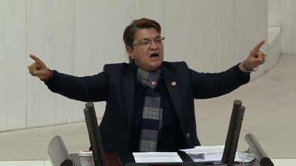 CHP’li Suzan Şahin kürsüye vura vura isyan etti