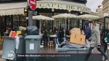 Conséquence visible de la mobilisation contre la réforme des retraites, les ordures commencent à s'amonceler dans plusieurs villes de France avec des risques pour l'hygiène