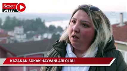 Yargıdaki tartışmada kazanan sokak hayvanları oldu