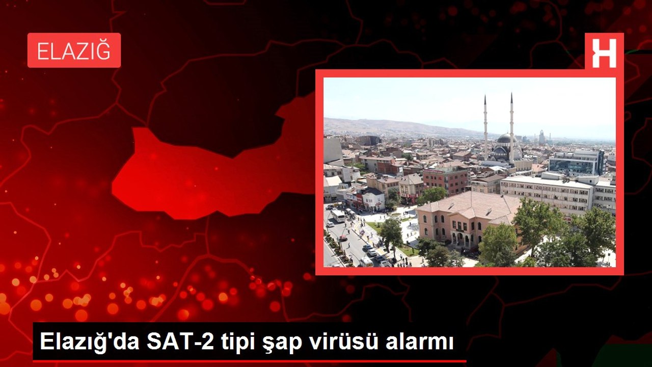 Elazığ'da SAT-2 tipi şap virüsü alarmı