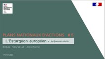 Plan national d'actions #5 - Film sur le lâcher d'Esturgeons européens (Acipenser sturio)