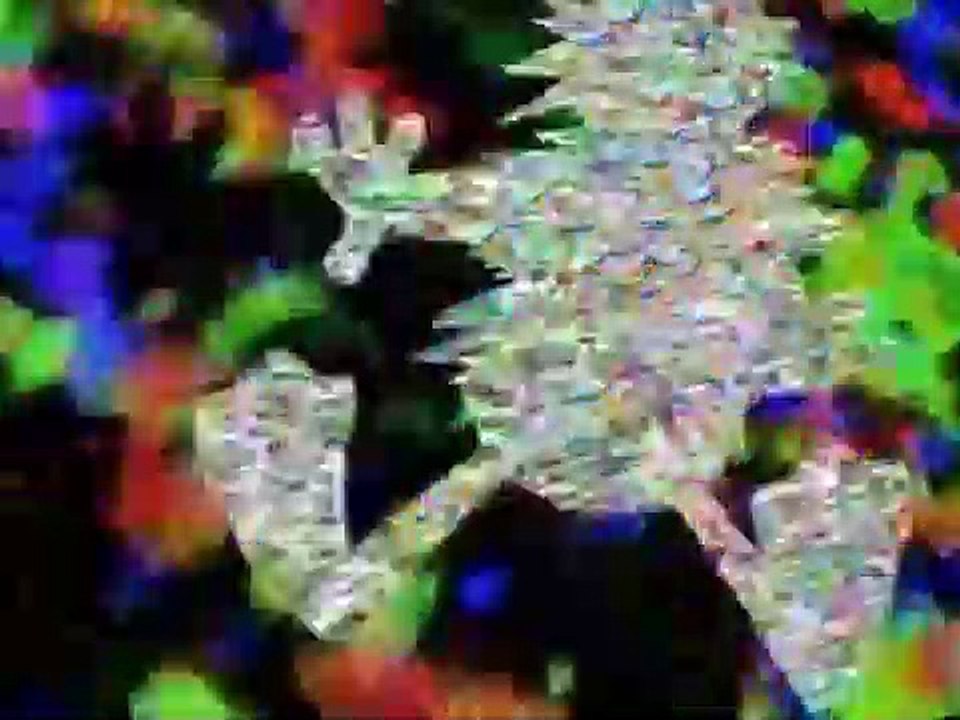 Quack Pack S01 E33