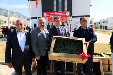 Ören'de üreticilere 100 bin ıtri bitki dağıtıldı