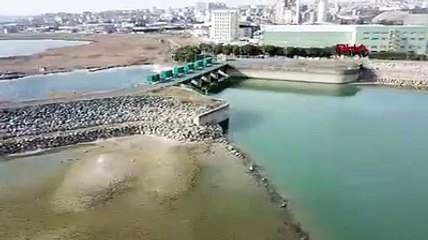 Büyükçekmece Gölü'nün son halini gören gözlerine inanamadı