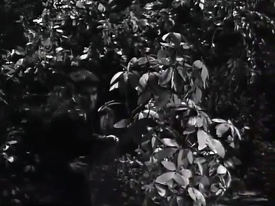 Dark Shadows (1966) - Ep68 HD Watch