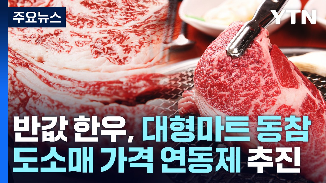 반값 한우, 대형마트 동참...도소매 연동제도 추진 / YTN