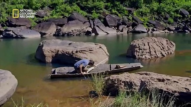 طعام كالذهب _ أساليب البقاء_ نهر الميكونغ العظيم _ ناشونال جيوغرافيك أبوظبي