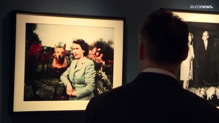 شاهد: افتتاح معرض يضم صوراً للملكة إليزابيث الثانية برفقة كلابها