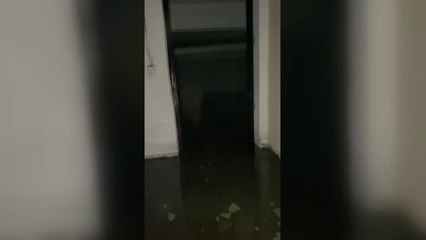 Hatay'da Enkaz Altında Kalan Kediye 31 Gün Sonra Ulaşıldı