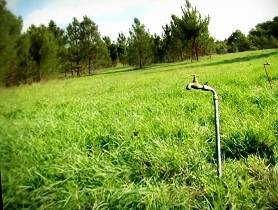 Minuscule S01 E14