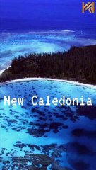 10 Countries and Territories With the Most Protected Land #shorts