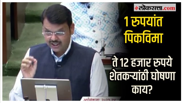 Maharashtra Budget 2023-24: अर्थसंकल्पात शेतकऱ्यांसाठी मोठी घोषणा; असे मिळणार १२ हजार रुपये