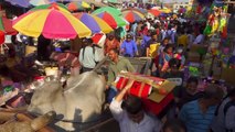 Hindistan'da Holi Festivali Renkli Görüntülere Sahne Oldu