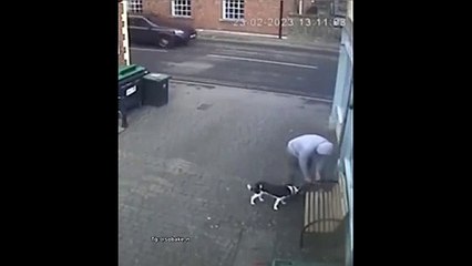 Un simple banc ne peut pas stopper un chien