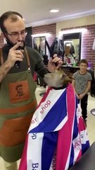 Un barbier pour singe... trop mignon