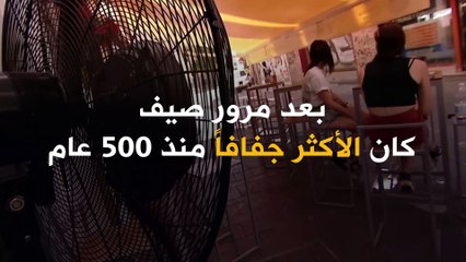 مشاهد نادرة للجفاف تجتاح القارة الأوروبية!