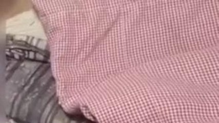 बलरामपुर: तेज रफ्तार बाइक सवार हुआ दुर्घटना का शिकार, देंखे वीडियो