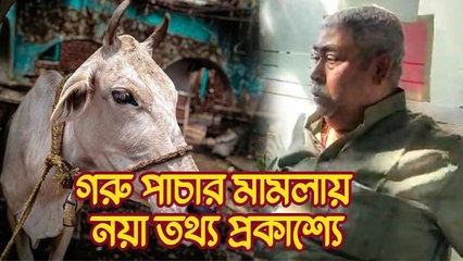 ক্রমশ বিপদ বাড়ছে অনুব্রতর, নগদে কিনেছেন একাধিক সম্পত্তি, দাবি ইডির