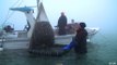 Italia: los pescadores ayudan contra el cambio climático