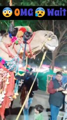 Kids scared with big Camel statue 