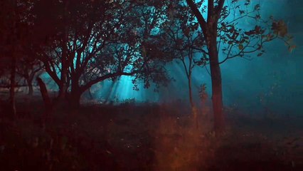 Kantara Scary Scene | Kantara movie Shiva Scared