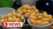 Cambodians get better income as more mangoes enter Chinese market