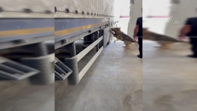 Baharat paketlerine gizlenmiş 35 kilogram esrar ele geçirildi