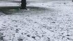 Snow in Harrogate: Reporter Liana Jacob reports from a snowy Harrogate on Thursday