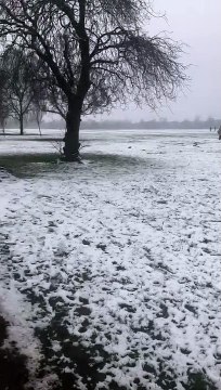 Snow in Harrogate: Reporter Liana Jacob reports from a snowy Harrogate on Thursday