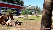 Tempat Wisata Balikpapan Pantai Manggar