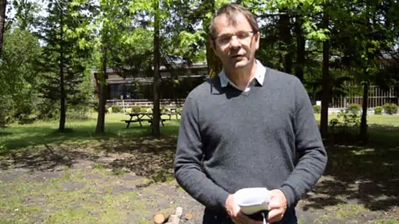 Présentation de l'Institut Européen de la Forêt Cultivée (IEFC)