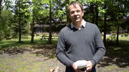 Présentation de l'Institut Européen de la Forêt Cultivée (IEFC)