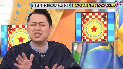 奇跡体験！アンビリバボー 2023年3月9日 笑ってほっこり！胸キュンアニマル2時間SP　 part 1/1