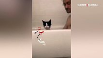 Sahibi ile birlikte banyo yapan kedinin kahkahaya boğan halleri