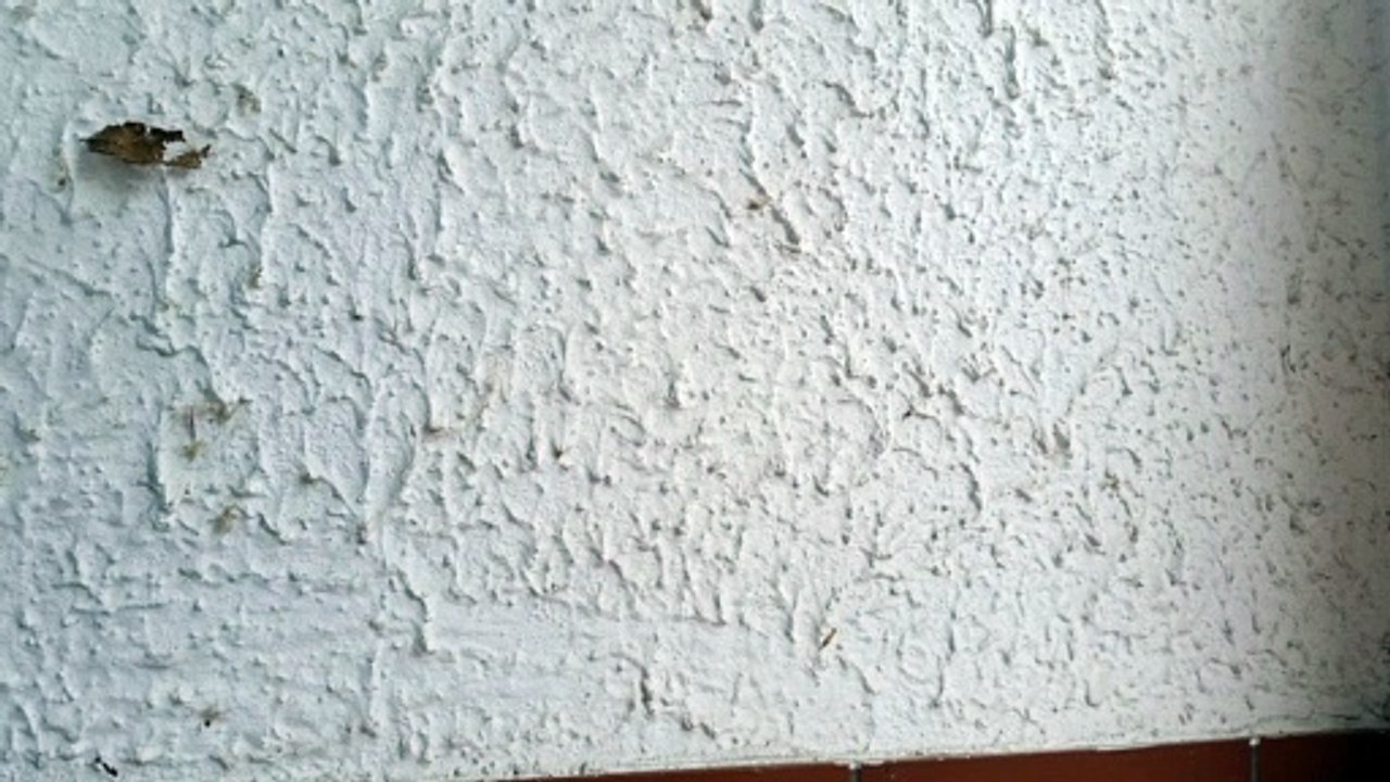 Untreuer Kopfhörer wird aufgrund ausgefallenem Ton auf der linken Seite zerstört.