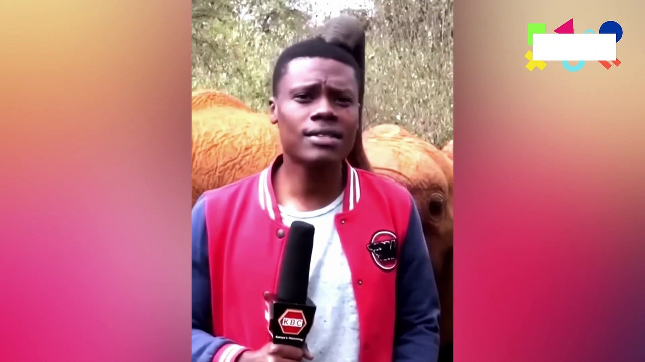 Top TikTok Compilation - Memes Compilation - Instant Regret - Best COUB - Dank Memes Eray Reddit