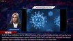 Prophylactic Antibodies Alter Vaccine Responses To Covid-19 - 1breakingnews.com