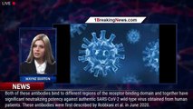 Prophylactic Antibodies Alter Vaccine Responses To Covid-19 - 1breakingnews.com