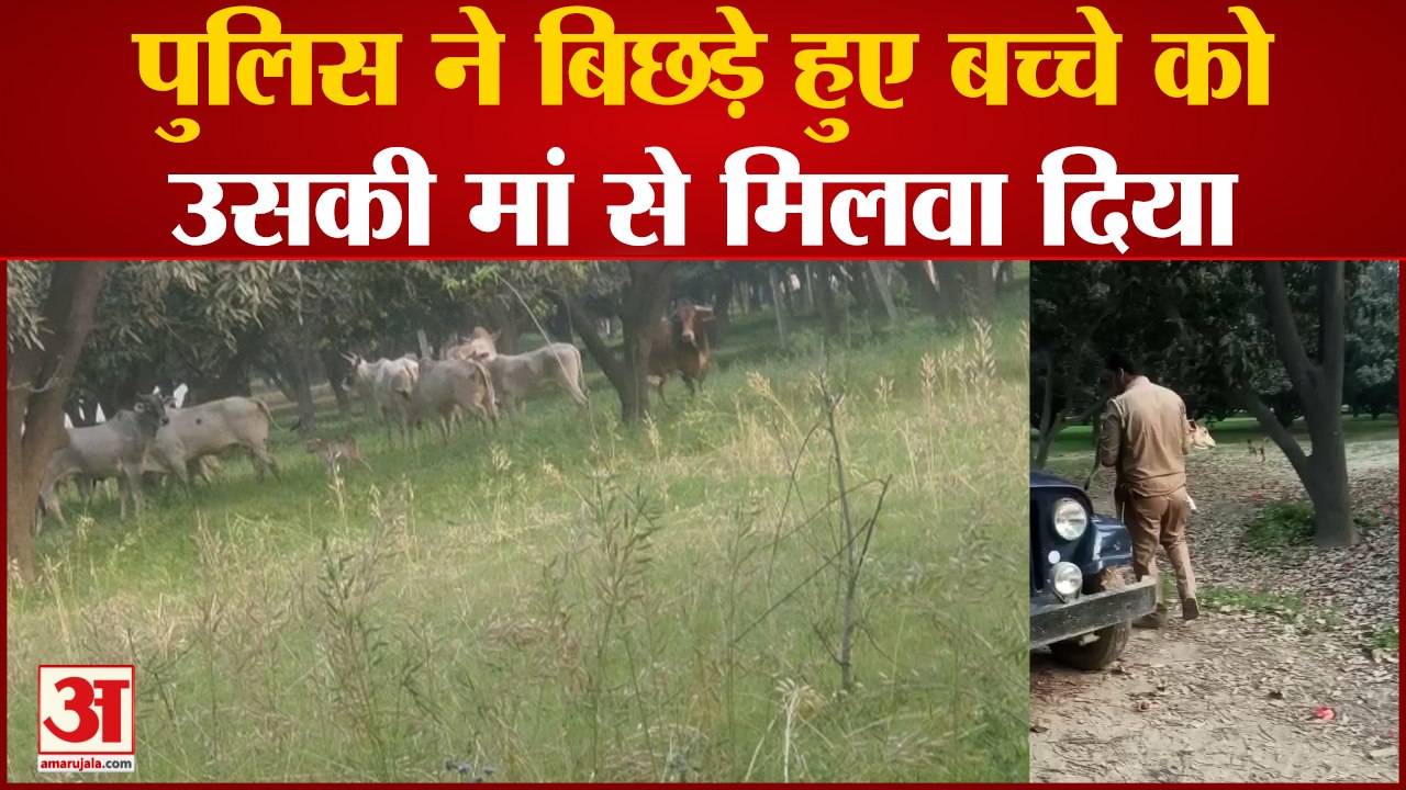 Bagpath News: पुलिस ने पेश की मानवता की मिसाल,पुलिस ने बिछड़े हुए बच्चे को उसकी मां से मिलवा दिया