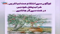 Beautiful Urdu Quotes | Islamic quotes about life | Urdu Quotes